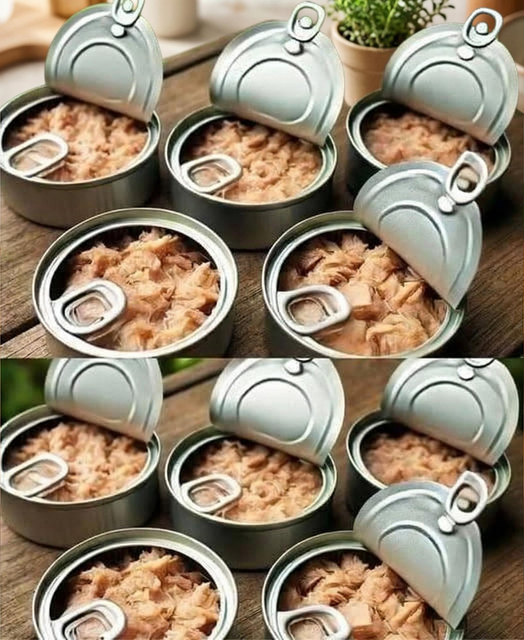 Surprising Ways to Reuse Tuna Cans with Simple DIY Home Ideas