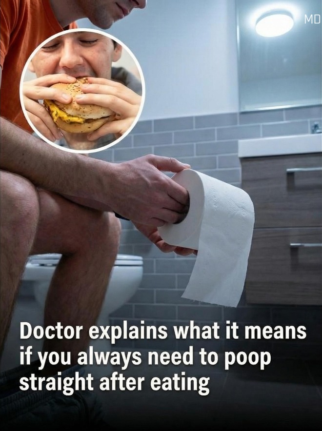 Why Some People Feel the Urge to Use the Bathroom After Eating